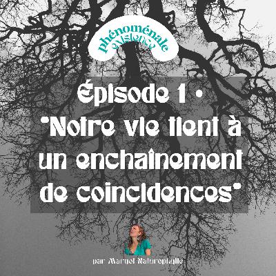 1 • Notre vie tient à un enchaînement de coïncidences - Le miracle de la Vie humaine
