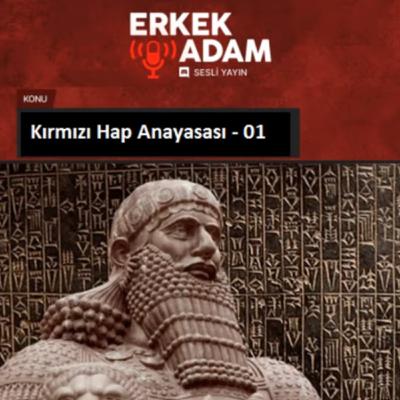 Erkek Adam Discord Yayını - Kırmızı Hap Anayasası - Bölüm I