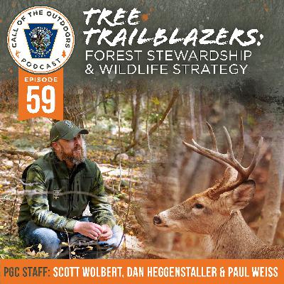 Ep.59 | Tree Trailblazers: Forest Stewardship & Wildlife Strategy