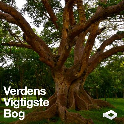 Urhistorien 6/7 | "Det var Noas sønners slægter... | Daniel Lanting