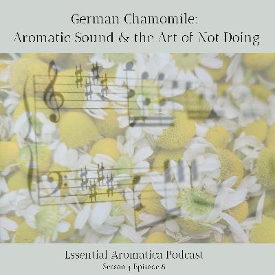 German Chamomile: Aromatic Sound and the Art of Not Doing