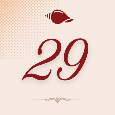 29. Um dia especial