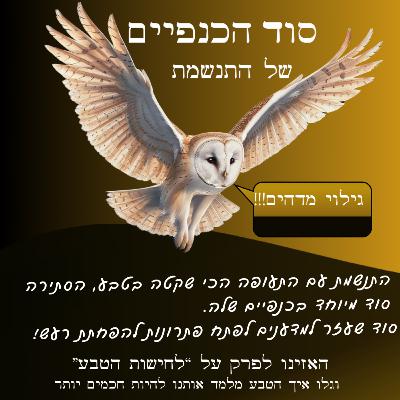 סוד הכנפיים של התנשמת
