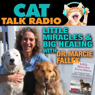 Little Miracles & Big Healing: A Conversation with Dr. Marcie Fallek