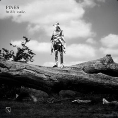 Sticy Jazz Interview Josh Hight (P.I.N.E.S) Sticy Jazz Interview Josh Hight (P.I.N.E.S)