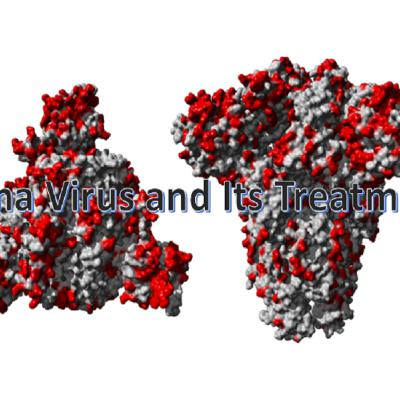 Corona Virus Disease and its Treatment