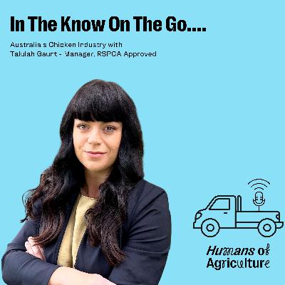 The Q&A from our video on Meat Chickens with Talulah Gaunt