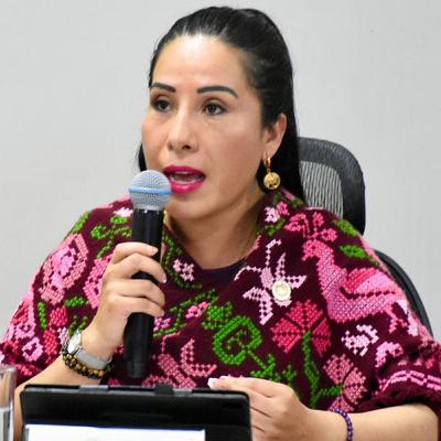"Propuesta para que sólo mujeres se postulen a la gubernatura del 2028 busca saldar deuda histórica con mujeres de Hidalgo": Hilda Miranda, diputada local de Morena