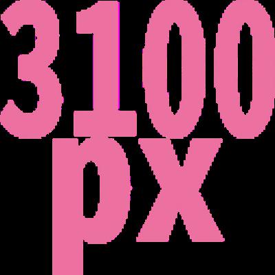 3100 x 3100