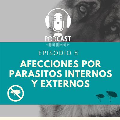 Episonio #8 Afecciones por parásitos internos y externos