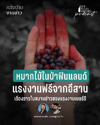 หลังบานงานข่าว EP.2 | หมากไม้ป่าในฟินแลนด์ แรงงานฟรีจากอีสาน เรื่องราวในสนามข่าวของแรงงานเบอร์รี