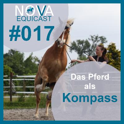 017 Das Pferd als Kompass