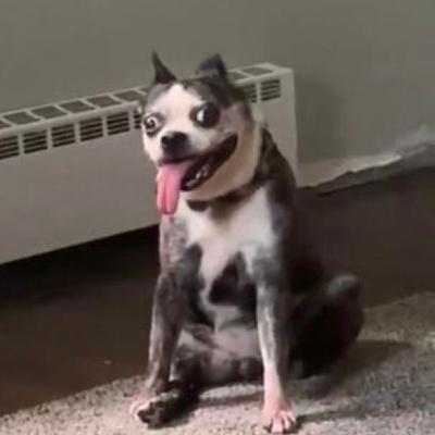 Explaining and complaining