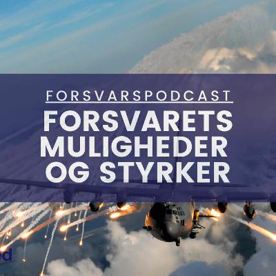 Forsvarets styrke: De ansatte