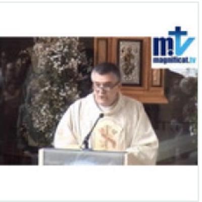 La Misericordia está sin trabajo. Homilia miércoles 8/10/2025, P. Santiago Martín FM