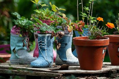 Ep. 340 | Gardening is for Kids!