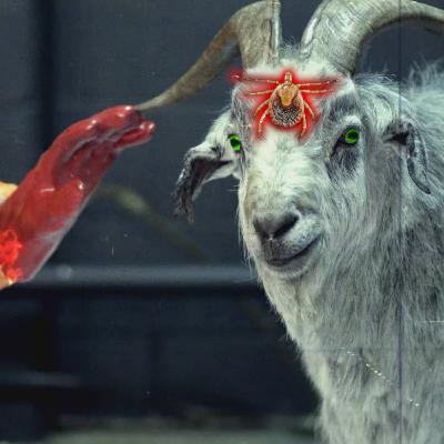 Hygromycin A for Lyme Disease?