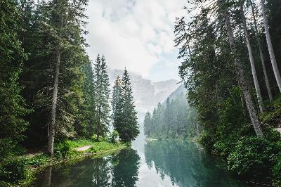 165 - Forest Finance: How Private Capital Can Transform Sustainable Forestry with Shauna Matkovich