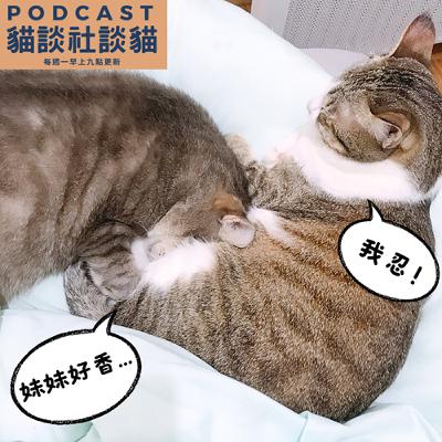 S10EP06 白目沒藥醫？！