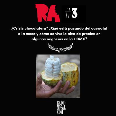 ¿Crisis chocolatera? ¿Qué está pasando del cacaotal a la mesa y cómo se vive la alza de precios en algunos negocios en la CDMX?