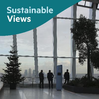 How has corporate sustainability changed in the past 12 months?