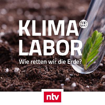 "Grüne" Steinbrüche mit E-Kipper und Wasserstoffradlader - Leopold Leonhartsberger (Strabag)