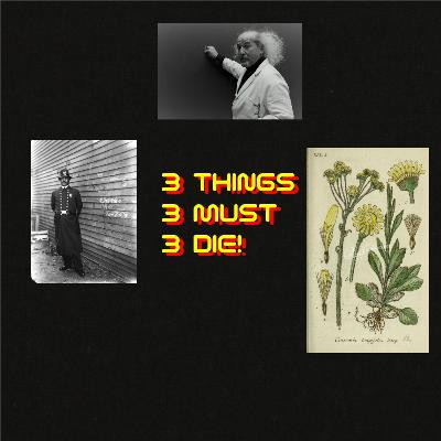 Crapping the Case | 3 THINGS MUST DIE!
