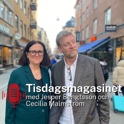 Tisdagsmagasinet