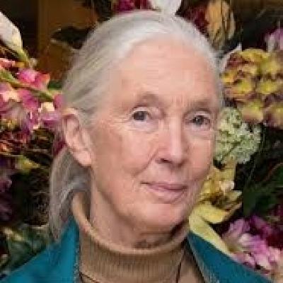 Jane Goodall