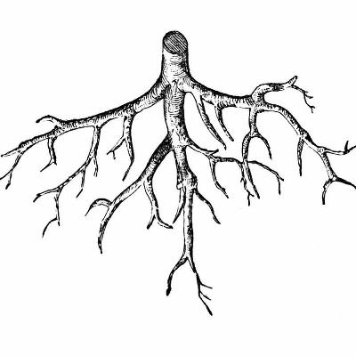 568 - Root Cause (10/18/21)