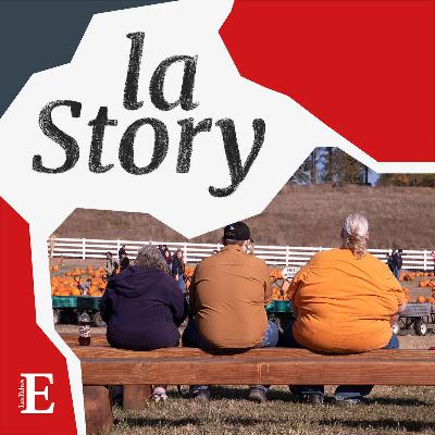 Novo Nordisk, la pilule du coupe-faim Wegovy ne passe plus en Bourse