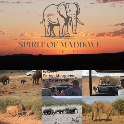 Elephant Management and Conservation