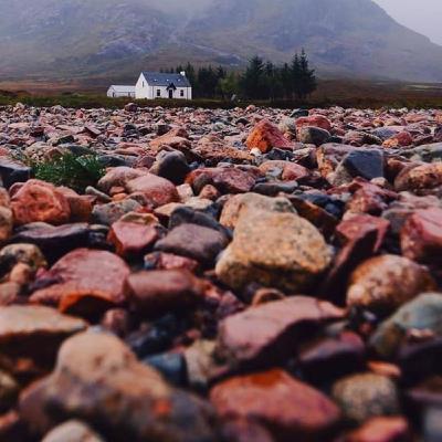 CASO ALCACER - HONOR Y JUSTICIA- 3 DE 3