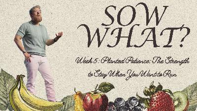 Sow What?: Week 5 - Planted Patience - The Strength to Stay When You Want to Run