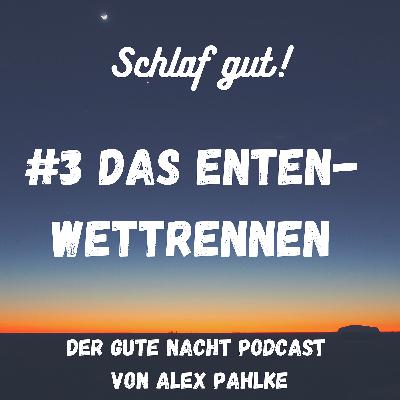 #3 Das Entenwettrennen #3 Das Entenwettrennen