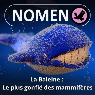 S05E05 La Baleine : Un mammifère particulièrement gonflé