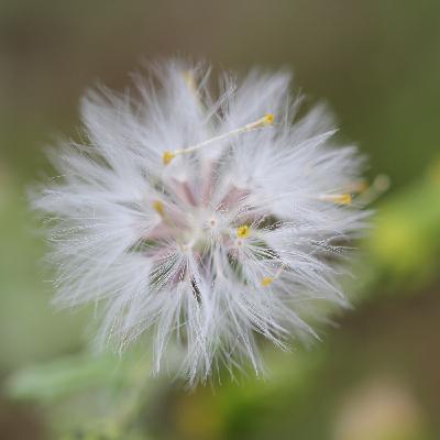Détente profonde - 10min pour recharger vos batteries