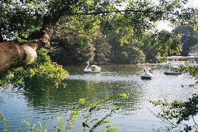 Olympus Stylus Epic in Japan