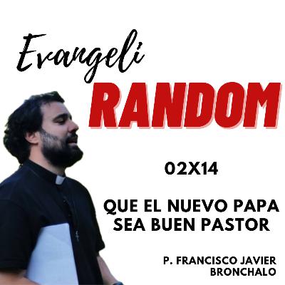 02x14 Que el nuevo Papa sea Buen Pastor 02x14 Que el nuevo Papa sea Buen Pastor
