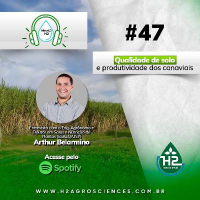 Qualidade de solo e produtividade dos canaviais