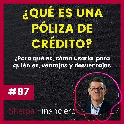 #87 🤔 ¿Qué es una póliza de crédito? Para qué es, cómo usarla, para quién, ventajas y desventajas