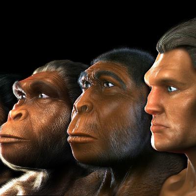 Le compostage de proximité avec l'appui des citoyens sous l'impulsion de LABEL VERTe