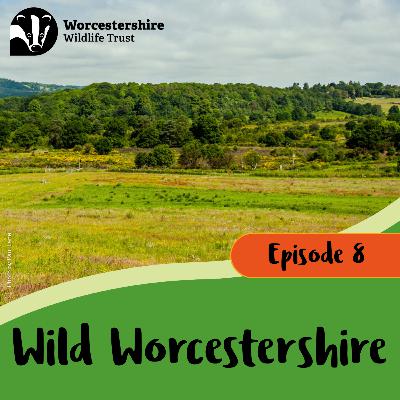 History, wildlife and heathland restoration