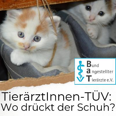 #14 TierärztInnen-TÜV: Wo drückt der Schuh? Im Gespräch mit Dr. Elisabeth Brandebusemeyer vom Bund angestellter Tierärzte.