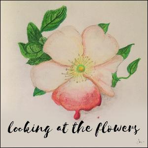 TWD - S8 Ep 8 - Dec. 18, 2017 TWD - S8 Ep 8 - Dec. 18, 2017