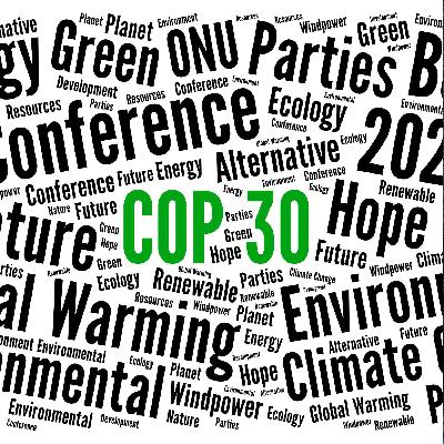 No major polluters present at COP30
