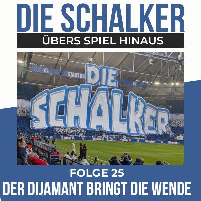 DĆŸeko Magie auf Schalke - Punkt mit Fragezeichen DĆŸeko Magie auf Schalke - Punkt mit Fragezeichen