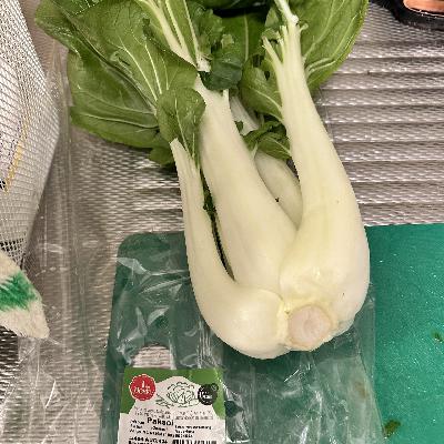 荷洲记04-考试周买菜和打工