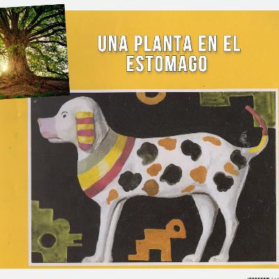 Una planta en el estomago (Libros de texto de la SEP) (Lección 32)