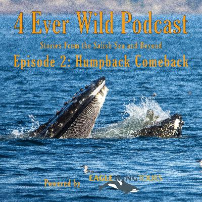 Episode 2: Humpback Comeback Episode 2: Humpback Comeback